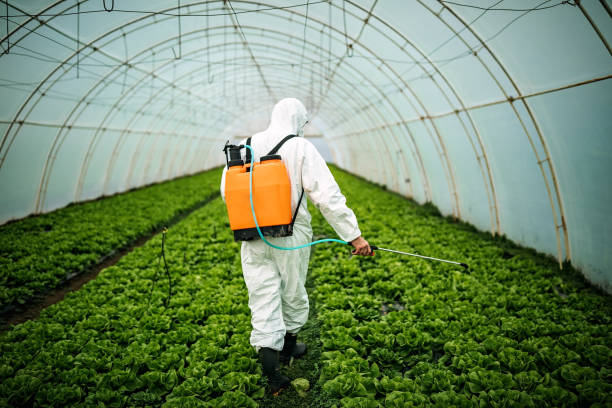 Best Pest Prevention Services  in North Muskegon, MI