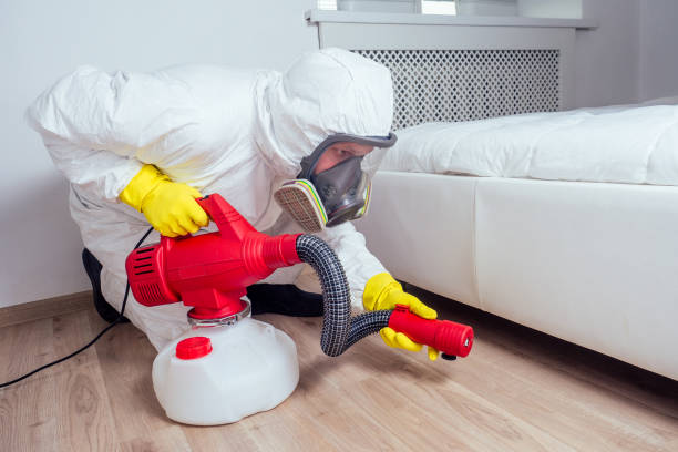 Best Flea Control Services  in North Muskegon, MI
