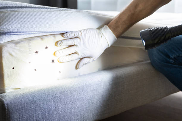 Pest Control Cost in North Muskegon, MI
