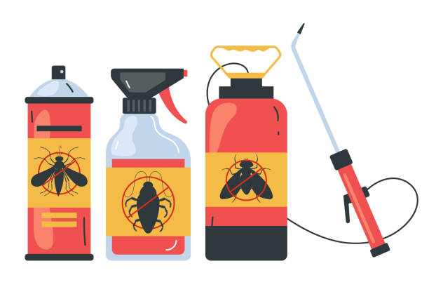 Best Spider Control Near Me  in North Muskegon, MI