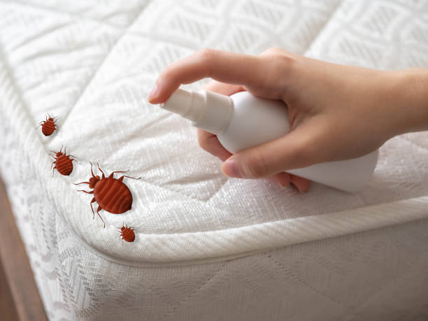 Best Residential Pest Control  in North Muskegon, MI