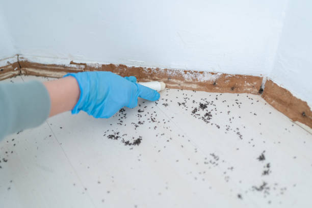 Best Emergency Pest Control  in North Muskegon, MI